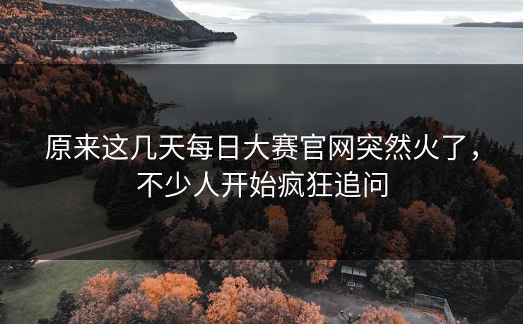 原来这几天每日大赛官网突然火了，不少人开始疯狂追问