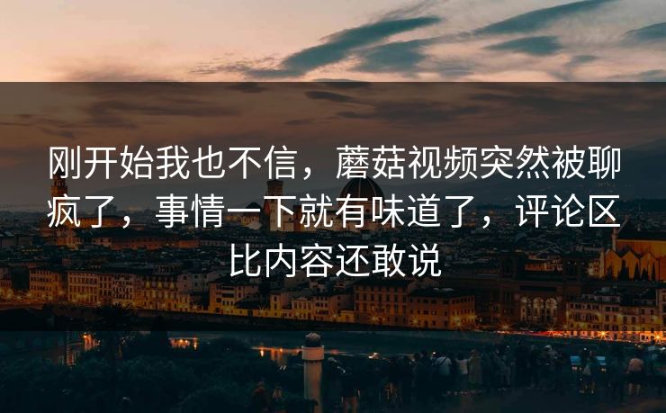 刚开始我也不信，蘑菇视频突然被聊疯了，事情一下就有味道了，评论区比内容还敢说