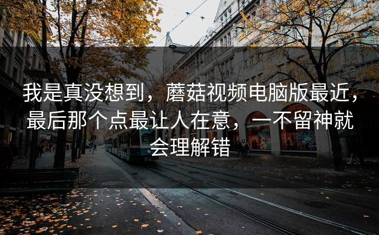 我是真没想到，蘑菇视频电脑版最近，最后那个点最让人在意，一不留神就会理解错