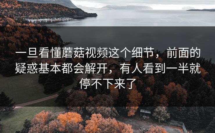 一旦看懂蘑菇视频这个细节，前面的疑惑基本都会解开，有人看到一半就停不下来了