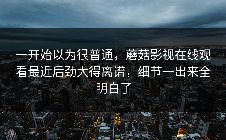 一开始以为很普通,蘑菇影视在线观看最近后劲大得离谱,细节一出来全明白了 一开始以为很普通,蘑菇影视在线观看最近后劲大得离谱,细节一出来全明白了
