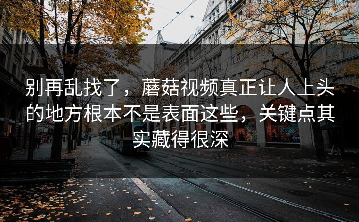 别再乱找了,蘑菇视频真正让人上头的地方根本不是表面这些,关键点其实藏得很深 别再乱找了,蘑菇视频真正让人上头的地方根本不是表面这些,关键点其实藏得很深